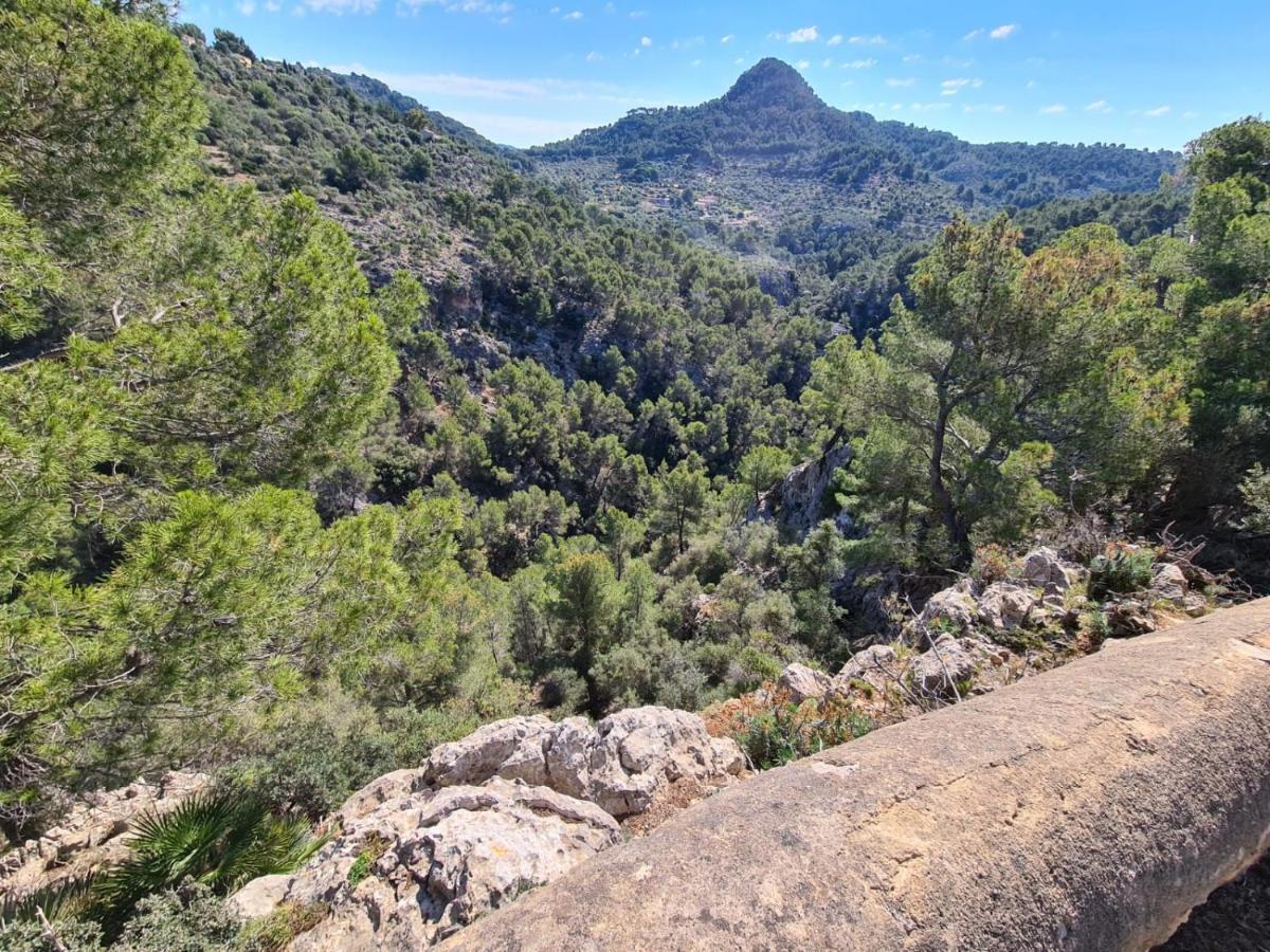Wunderschoene Ruhige Finca Mit Pool In Galilea Galilea  Εξωτερικό φωτογραφία
