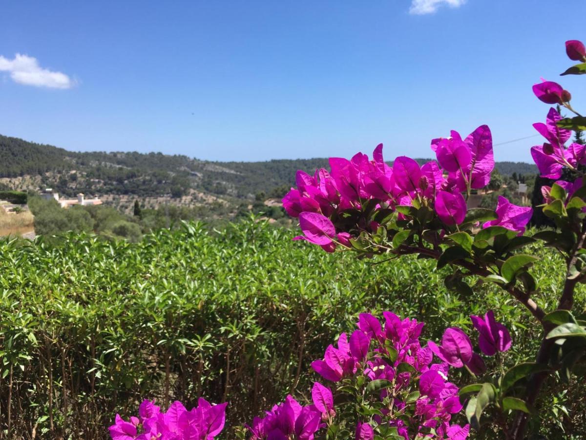 Wunderschoene Ruhige Finca Mit Pool In Galilea Galilea  Εξωτερικό φωτογραφία